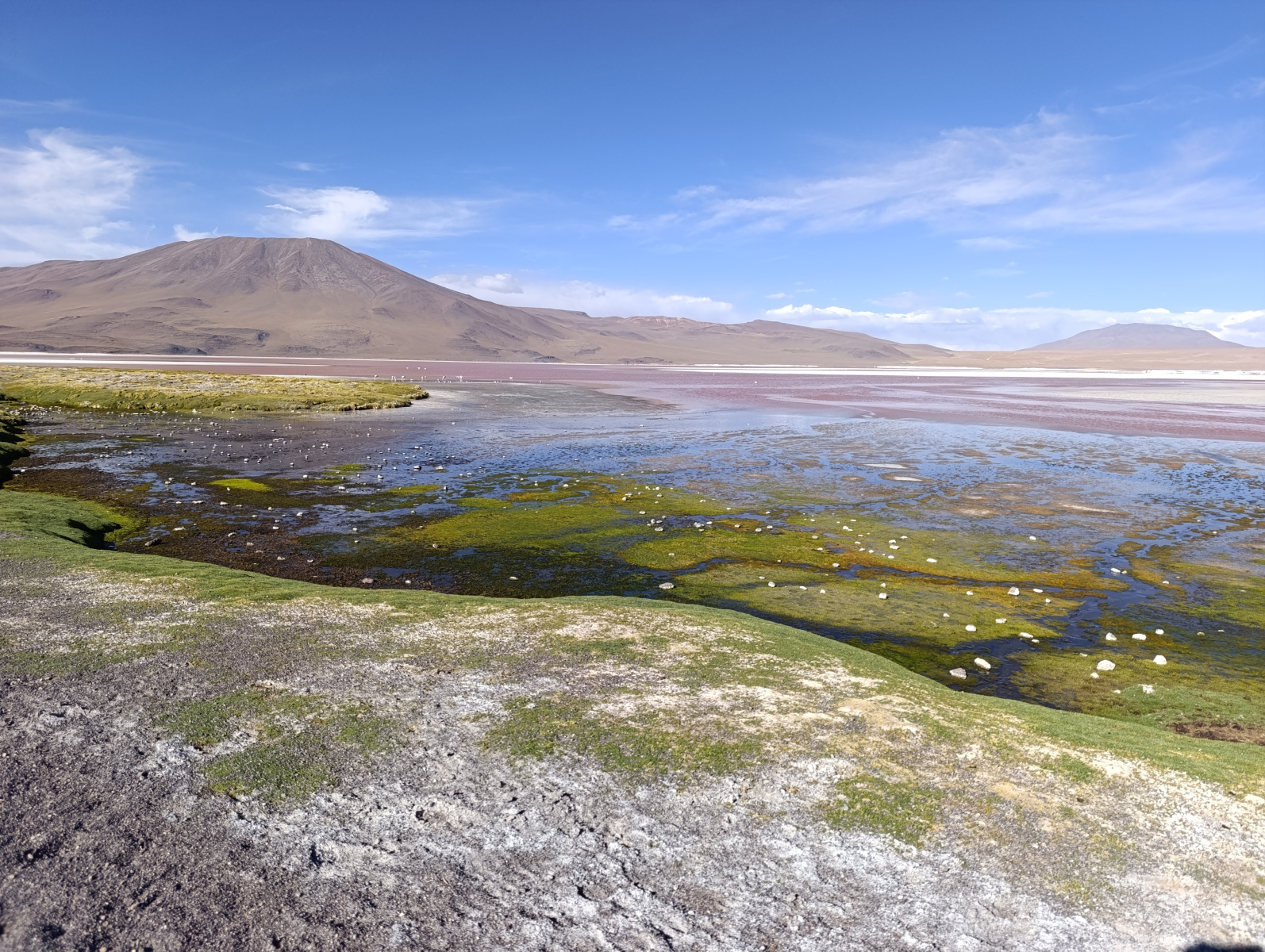 20260102_113_Salar-Uyuni-J1_Laguna-Colorada