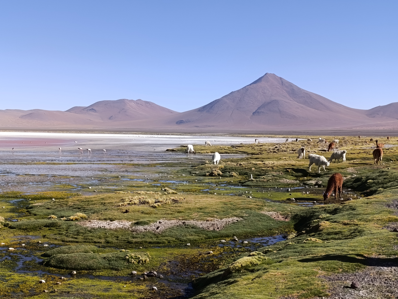 20260102_115_Salar-Uyuni-J1_Laguna-Colorada