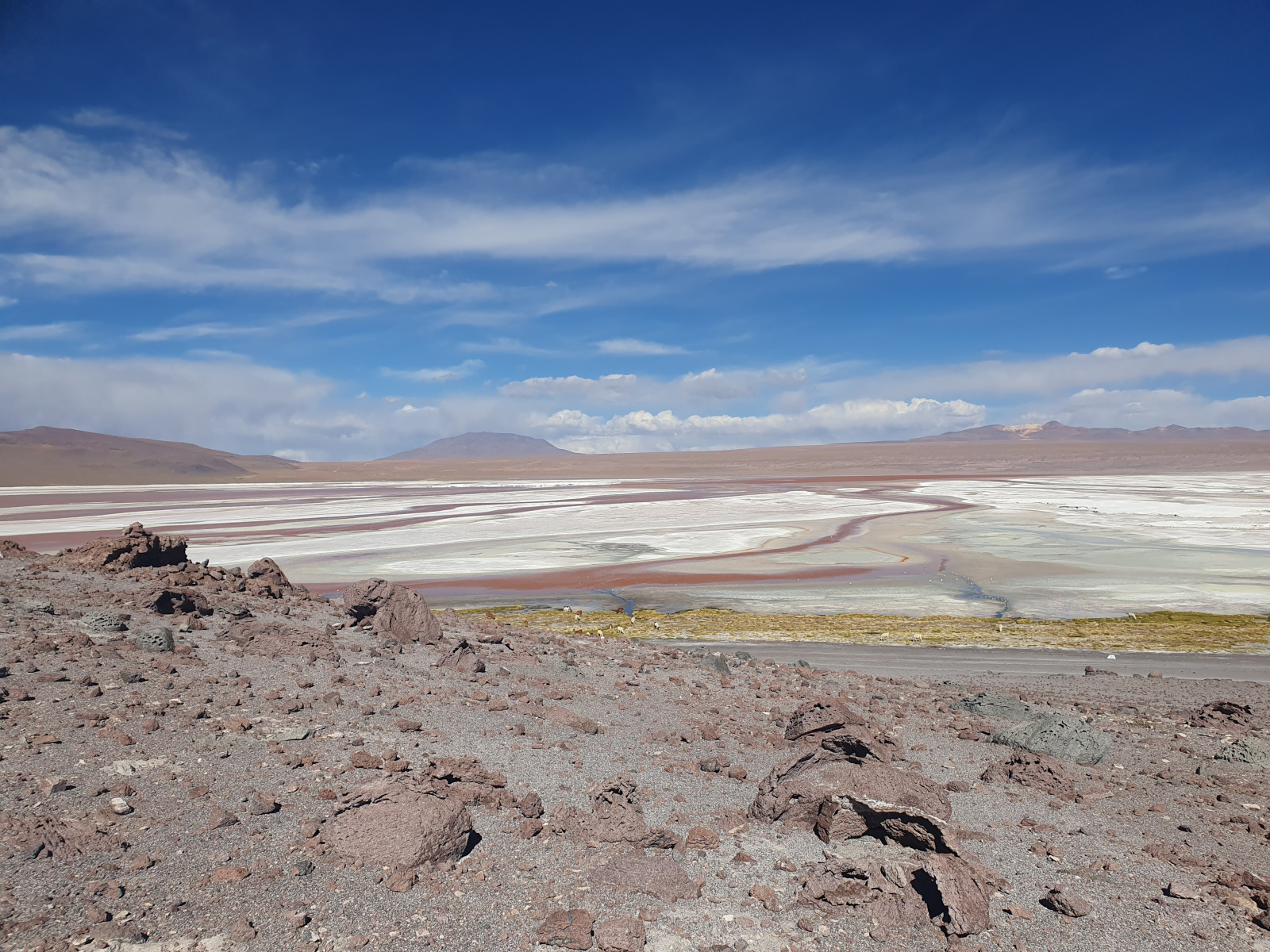 20260102_130_Salar-Uyuni-J1_Laguna-Colorada