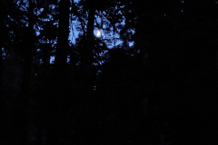 IMG20240711213515